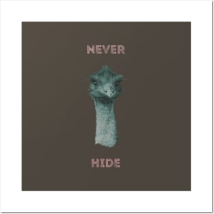 Never Hide Posters and Art